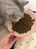 素力高（SolidGold）猫粮金素鸡 成猫幼猫进口高蛋白12磅/5.44kg 实拍图