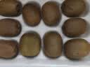 佳沛（zespri）新西兰金奇异果猕猴桃 5粒装 单果约88-103g 水果源头直发 实拍图