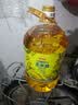 金龙鱼 食用油 非转基因 物理压榨玉米油6.18L（蕴含植物甾醇） 实拍图