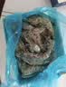 鲜京采 鲜冻大号黑虎虾 去冰净重2斤 31-40只/盒 美食大赛同款 中秋 实拍图