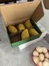 佳沛（zespri）新西兰阳光金奇异果6粒装88-103g猕猴桃水果中秋节礼品送水果礼盒 实拍图