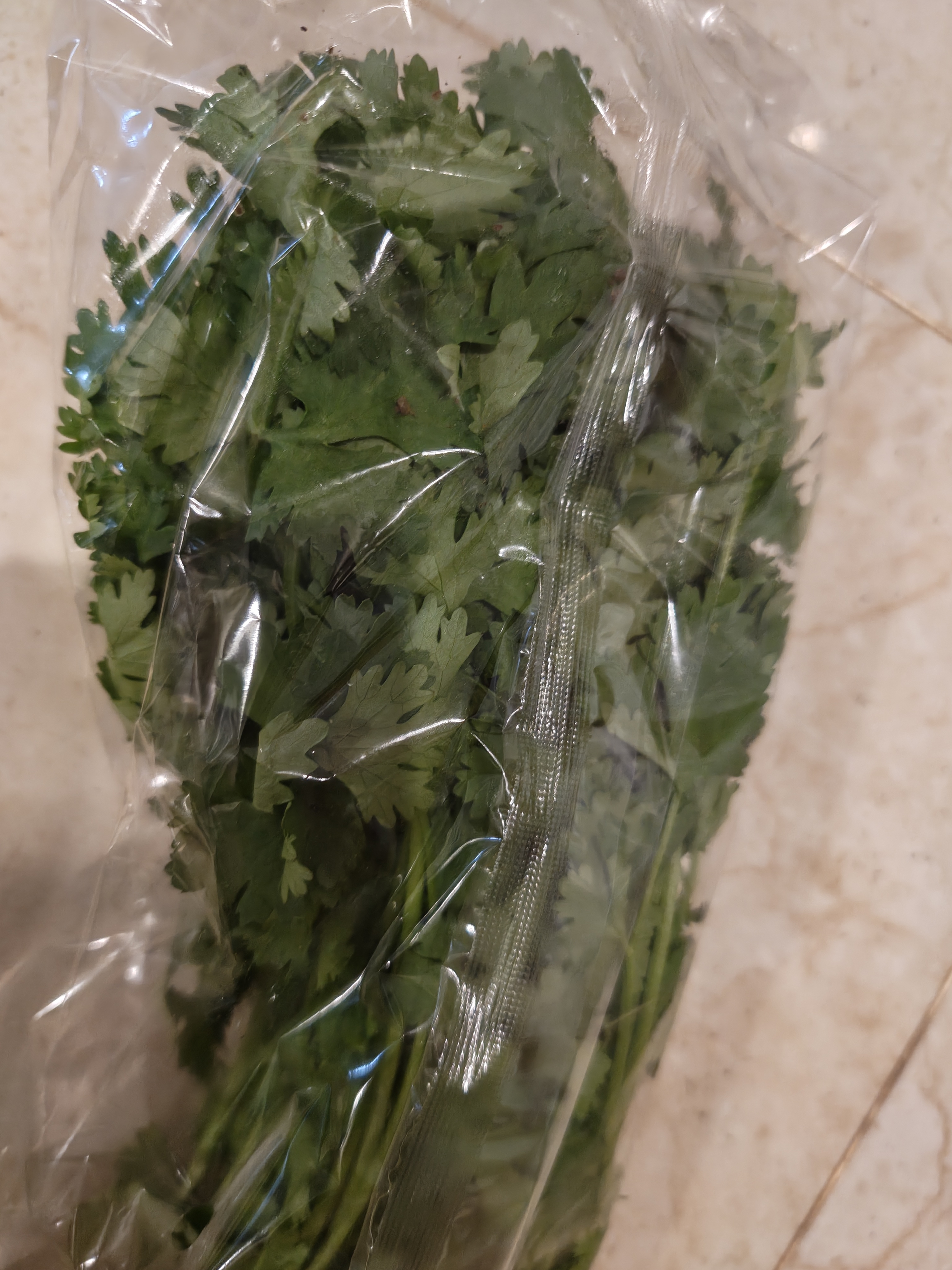 带根香菜100g 实拍图