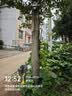 镭威视4g太阳能摄像头终身免流量AI室外免插电无电无网手机远程户外监控器家用360度无死角高清全景夜视 实拍图