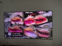 当贝S7 Ultra Max 投影仪家用4K全新三色激光变焦超清家庭影院国家补贴（5800CVIA 液冷散热） 实拍图