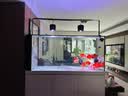 创宁变频潜水泵静音过滤循环潜水泵CN9500-60W 10档流量调节循环抽水 实拍图