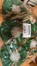 尔木萄（AMORTALS）卷筒式洗脸巾70片5包擦脸巾洁面柔巾家用干湿两用化妆绵加大加厚 实拍图