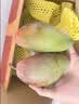 京地达海南澳芒新鲜芒果礼盒净重8斤单果1斤+ 应季新鲜水果源头直发 实拍图