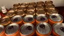 北冰洋橙汁汽水330ml*24果汁碳酸饮料整箱经典国货送礼火锅聚餐中秋汽水 实拍图