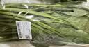 大菠菜300g 实拍图