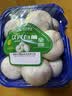 【烧烤季】白蘑菇(口蘑) 230g 实拍图