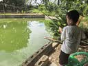 惊浪短节鱼竿2.7m碳素轻硬溪流竿小物竿28调钓鱼竿手竿儿童鱼竿鲫鱼杆 实拍图