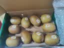佳沛（zespri）新西兰金奇异果10个装单果重103-114g猕猴桃中秋节礼品送水果礼盒 实拍图