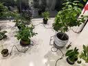 南水灌溉家用室内懒人自动浇花神器办公室绿植智能定时浇水滴灌溉 实拍图