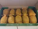 佳沛（zespri）新西兰金奇异果10个装单果重103-114g猕猴桃中秋节礼品送水果礼盒 实拍图