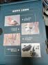 吉列锋速3经典1刀4头 手动式剃刮胡须刀 奥迪F1合作品牌 中秋节礼物男士 京东自营旗舰 非吉利 实拍图
