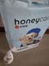 HONEYCARE好命家 宠物尿垫猫狗尿片 新手训导防漏尿布 厕所垫S码33*45cm 实拍图