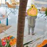 得力（deli）【开学文具】24色油画棒汪汪队联名水溶性24色可水洗旋转出芯蜡笔桶装炫彩棒幼儿画画涂色 实拍图