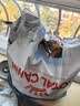皇家狗粮 成犬狗粮 犬粮 宠物大型犬 GR26全价犬粮≥15月15KG 实拍图