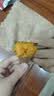 京鲜生&家美舒达 山东正宗烟薯25 糖心流油烤薯红薯4斤 出口级 新鲜蔬菜 实拍图