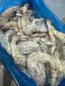 东上御品 国产盐冻大虾 白虾40/50规格 净重3斤 生鲜虾类-源头直发 实拍图