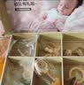 麦格萌新生幼儿见面礼婴儿玩具0-6个月高档可啃咬手摇铃牙胶礼盒套装 摇铃10件套【礼盒】 0-3岁宝宝新生儿见面礼61六一儿童节礼物 实拍图