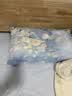 红豆A类抗菌枕头枕芯护颈枕睡眠颈椎病深度睡觉专用高枕42*65cm一只装 实拍图