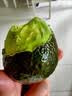 京地达云南牛油果新鲜水果鳄梨单果170g*4粒低卡京东自营生鲜源头直发 实拍图