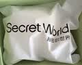 秘密世界（SecretWorld）胸贴女拍婚纱写真专用隐形防凸点乳贴上托夏季芒果杯加厚聚拢文胸 实拍图