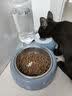 甜浪海猫碗双碗自动喂食器不锈钢狗盆幼猫吃饭喝水防打翻饮水机宠物食盆 实拍图
