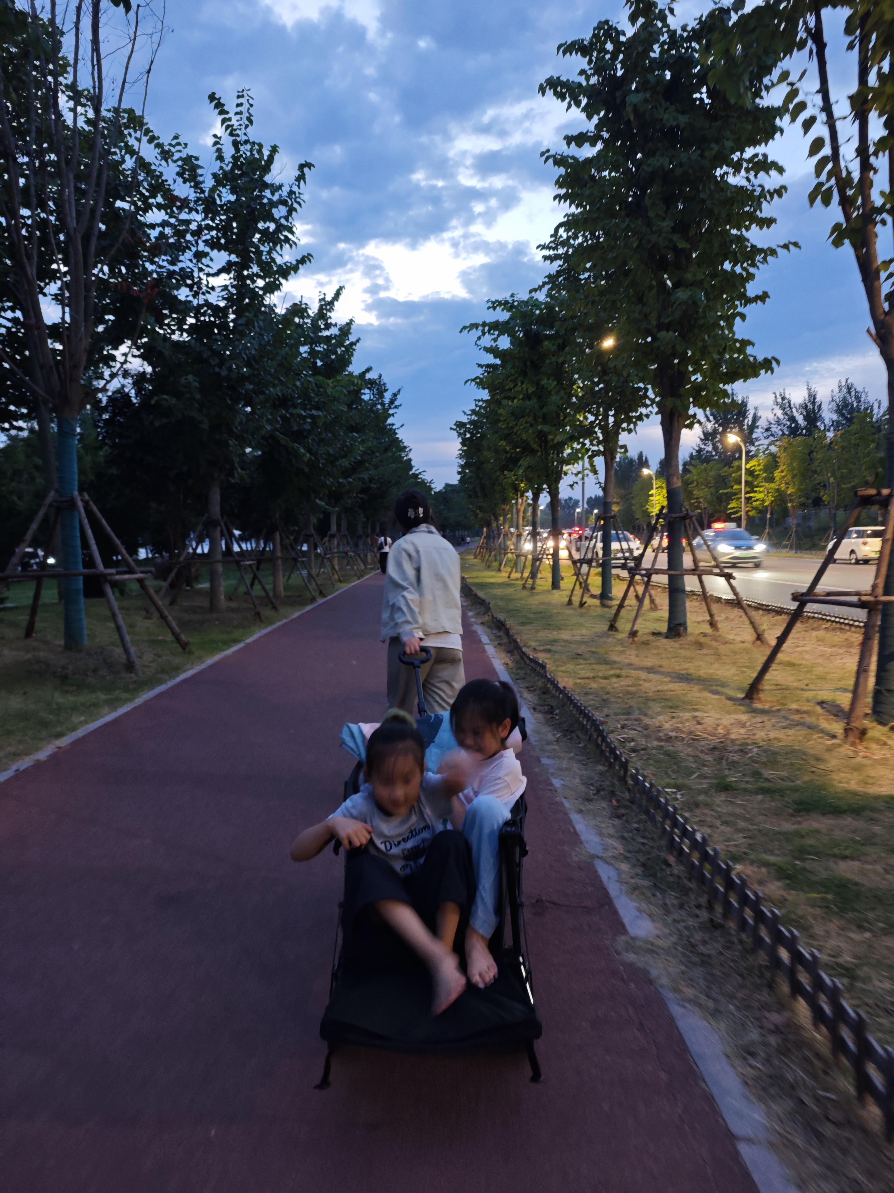 京东京造 聚拢型户外露营车PRO【双刹后开门】折叠小推车营地车野餐拉车 实拍图