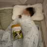 海普诺凯1897荷致A2蛋白*奶源版较大婴儿奶粉2段(6-12月)800g*6罐【顶奢升级】 实拍图