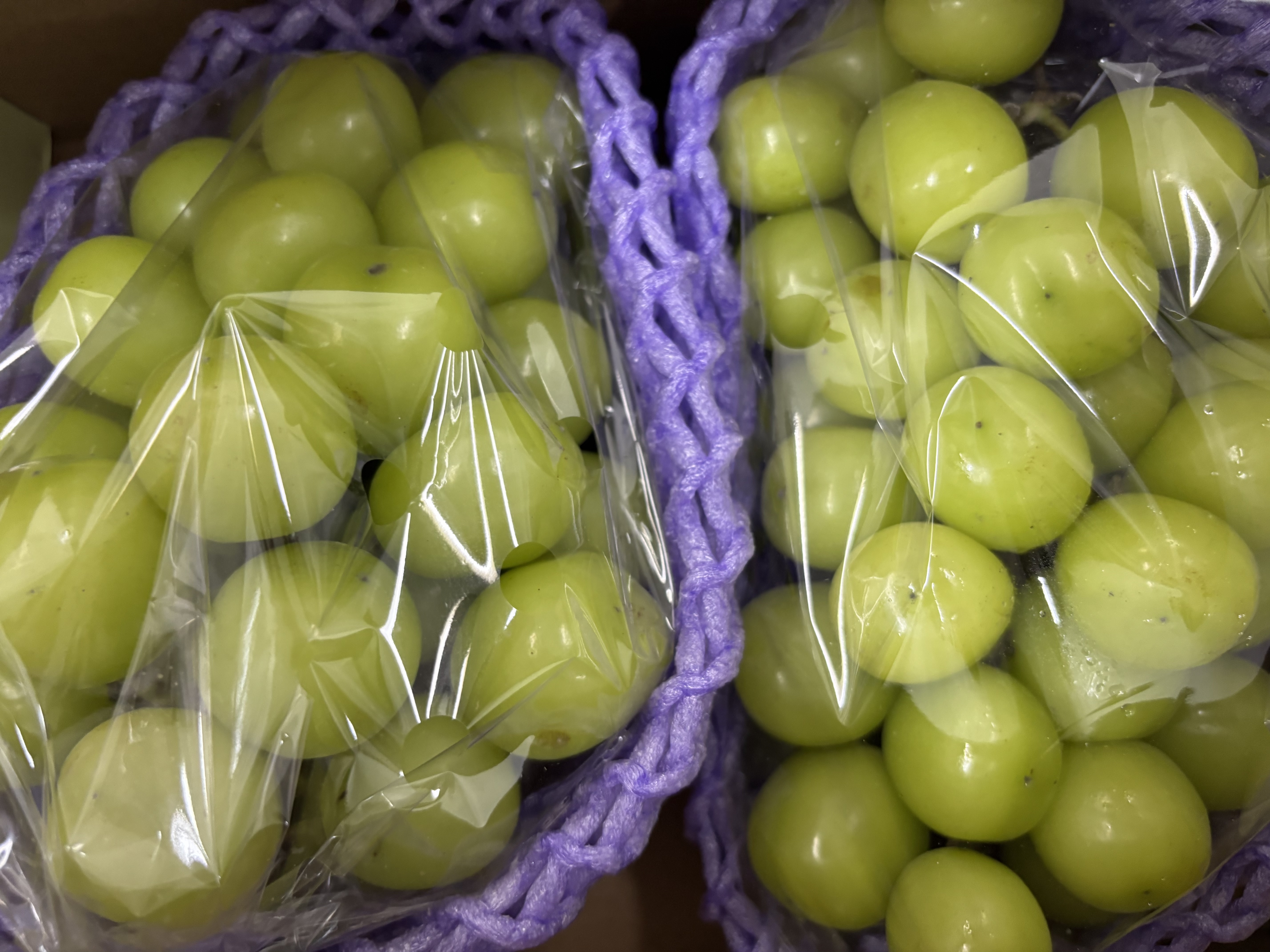 【中秋礼盒】阳光玫瑰青提1.5kg(单果8g起) 实拍图
