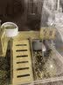 【检验疫苗丨脱敏训练】小仓鼠活体精选宠物物家养金丝熊活物苍鼠 金丝熊1只(母)【高智商粘人】互动亲人好上手喜撸 实拍图