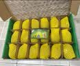 佳沛（zespri）新西兰金奇异果18粒优选果103-124g猕猴桃水果礼盒 实拍图