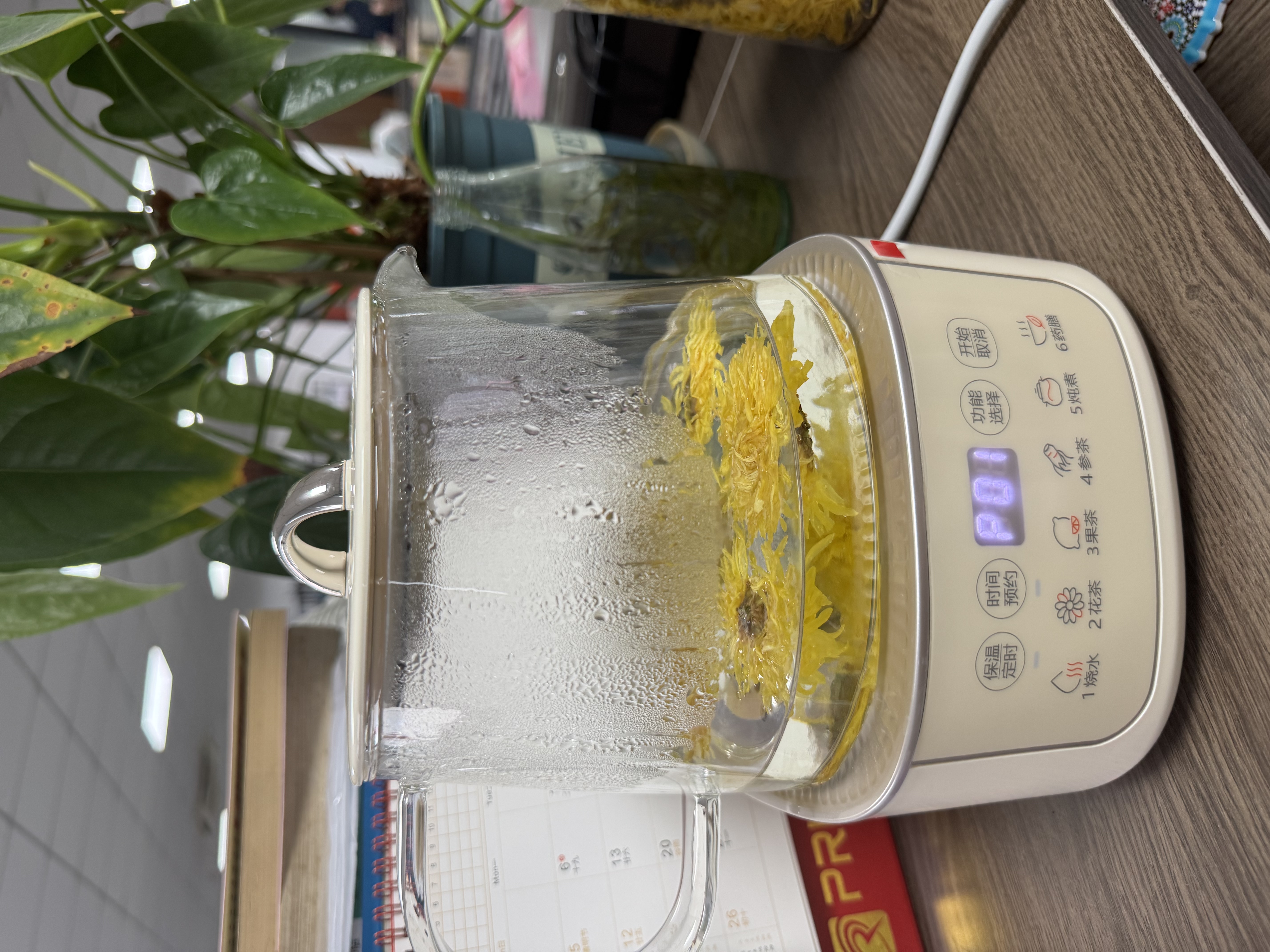 茗愿菊花茶【买2件=发3罐共约270朵】金丝皇菊胎贡菊花特茶级花草茶叶 【买2发3罐约270朵再送杯】 【泡开约6-8cm】【30克(约90朵)/罐】 实拍图
