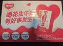 银鹭【任嘉伦推荐】花生牛奶250ml*16盒 整箱礼盒早餐奶礼盒 实拍图