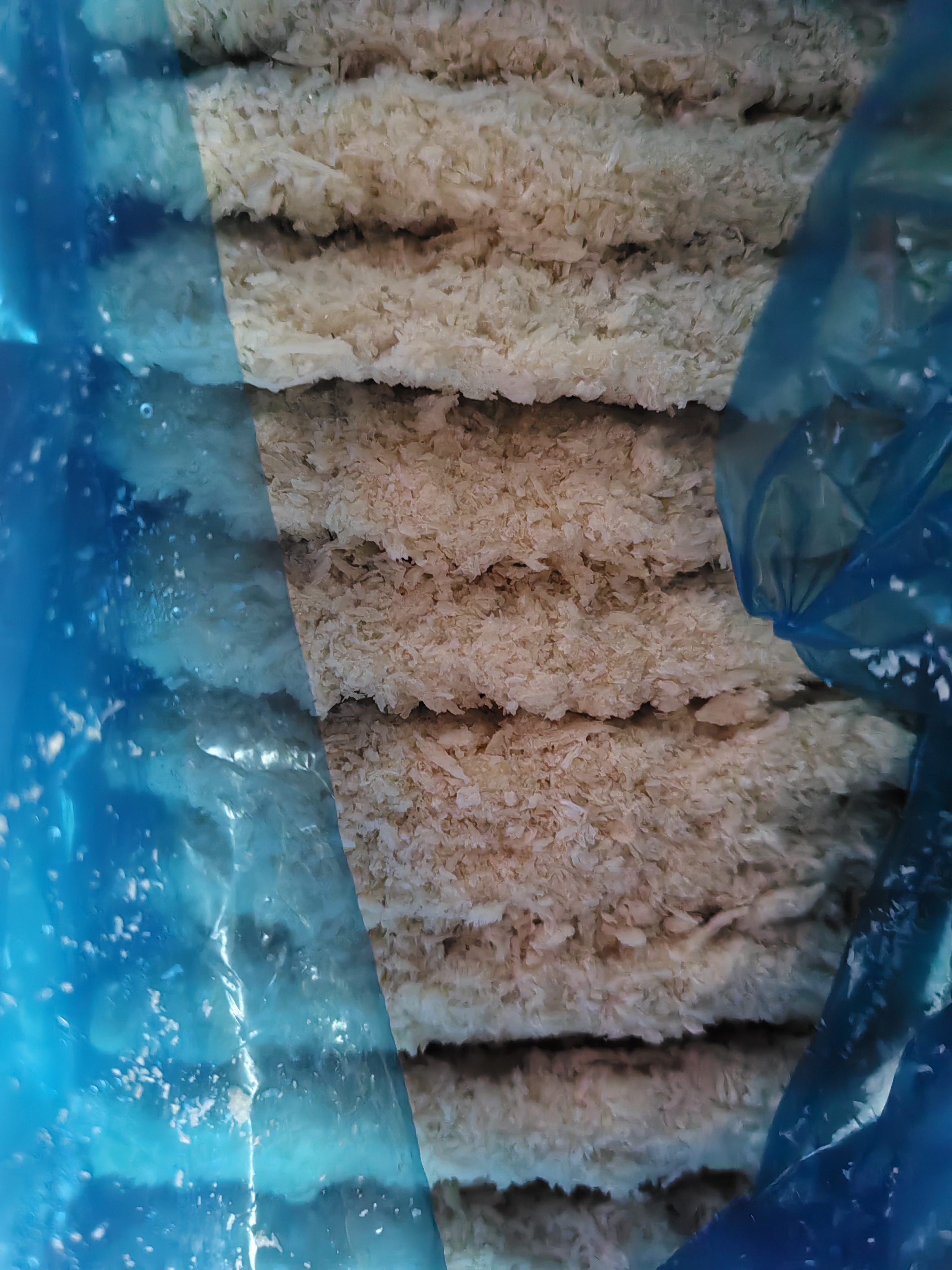 珍百年冷冻深海鳕鱼排310g儿童早餐汉堡半成品空气炸锅食材 实拍图