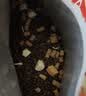 万颐（WEET）猫粮冻干五拼成猫专用英短蓝猫全种猫通用型宠物主粮2.5kg 实拍图