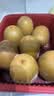 佳沛（zespri）新西兰金奇异果8粒特大果124-146g猕猴桃中秋节礼品送水果礼盒 实拍图