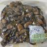 赶海弟【潍坊产地】生蚝干400g不抽油海蛎子牡蛎 火锅食材 源头直发包邮 实拍图