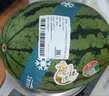 【冰镇即享】庞各庄西瓜约1.5kg   一人食 实拍图