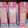 蒙牛真果粒牛奶饮品东魁杨梅味含乳饮料250g×12盒 卡皮巴拉礼盒 实拍图