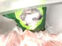 蒙豚有机草原黑猪 前小排 1斤 (含脊骨)肋排不低于30% 肋骨土猪肉生鲜 实拍图