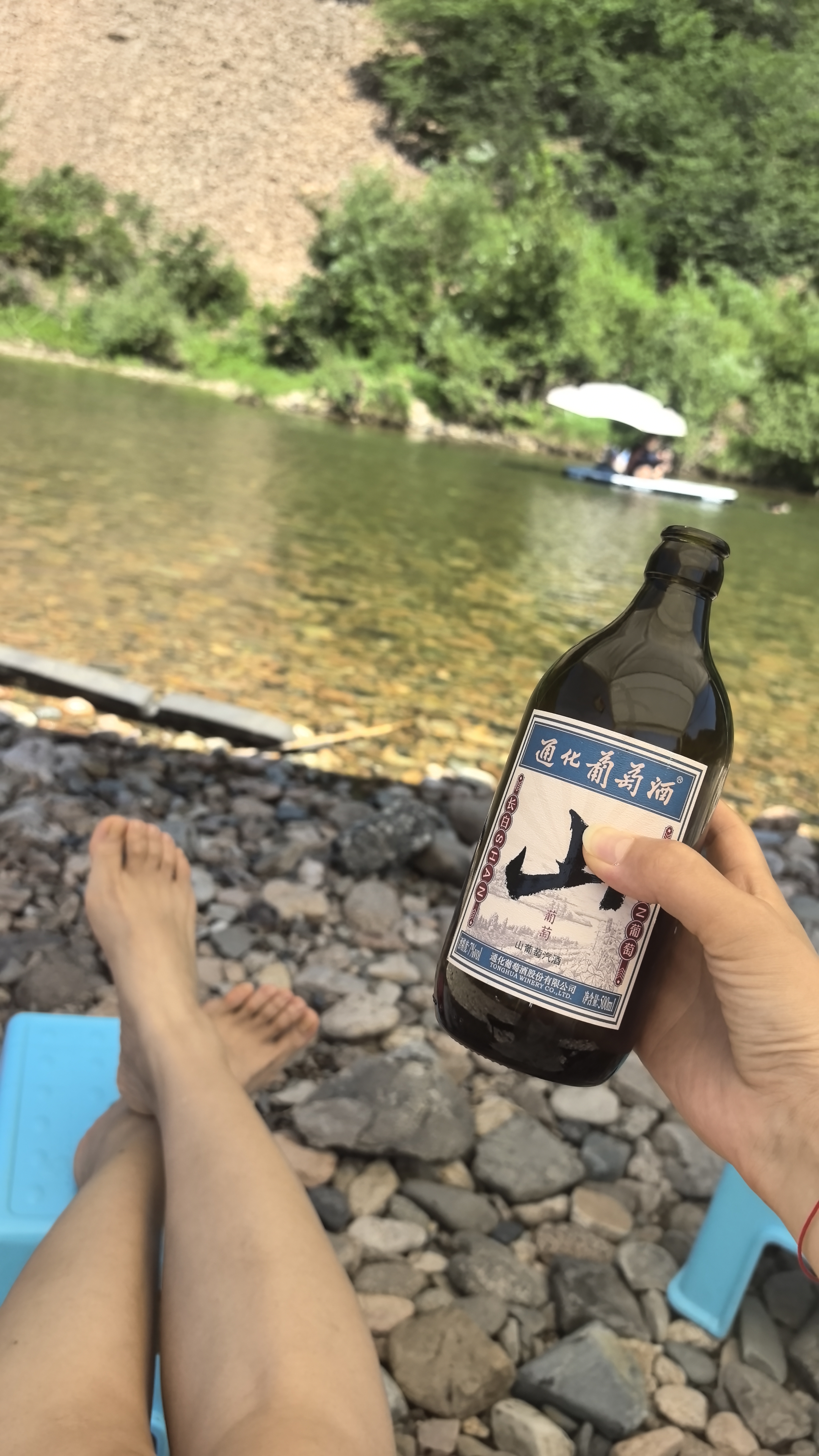 通化山葡萄气泡酒7%vol 葡萄汁红酒500ml*3瓶 果味葡萄酒微醺果汁 实拍图