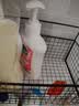 立白茶籽洗洁精2.9kg A类去污洁净99.9%除菌去油快不伤手洗涤灵洗碗液 实拍图