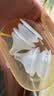 贝亲（Pigeon）自然实感第3代启衔奶嘴 宽口径奶嘴 M号-2只装 3个月以上  BA135 实拍图