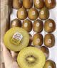 佳沛（zespri）新西兰金奇异果22粒巨大原箱146-175g猕猴桃水果礼盒 实拍图