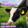欧德堡（Oldenburger）A2β酪蛋白儿童奶 全脂纯牛奶125ml*24盒整箱装 早餐奶 实拍图