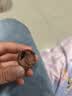 瑞士莲【官方正品】软心精选巧克力507g袋装糖果休闲零食礼物国庆节 实拍图