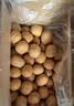 舌里原味薄皮核桃3斤装 新疆特产休闲零食坚果炒货送夹子1500g/箱 实拍图